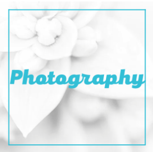 Professional Photography Services Wedding Event